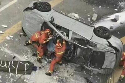 How to find a Car Accident Lawyer Near Me in Tampa, 33619